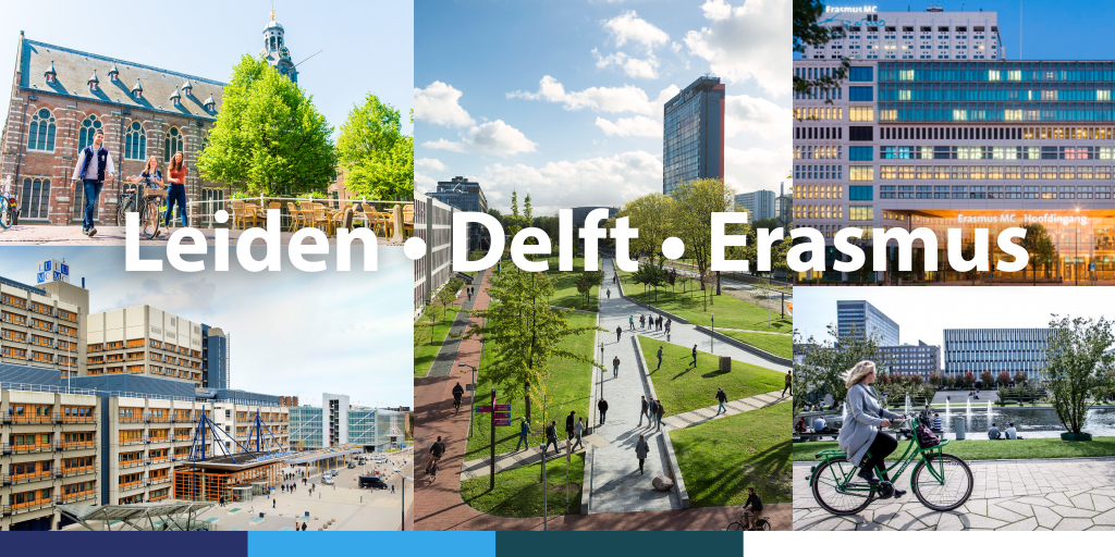 Leiden Delft Erasmus Universities